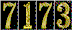 Hit Counter